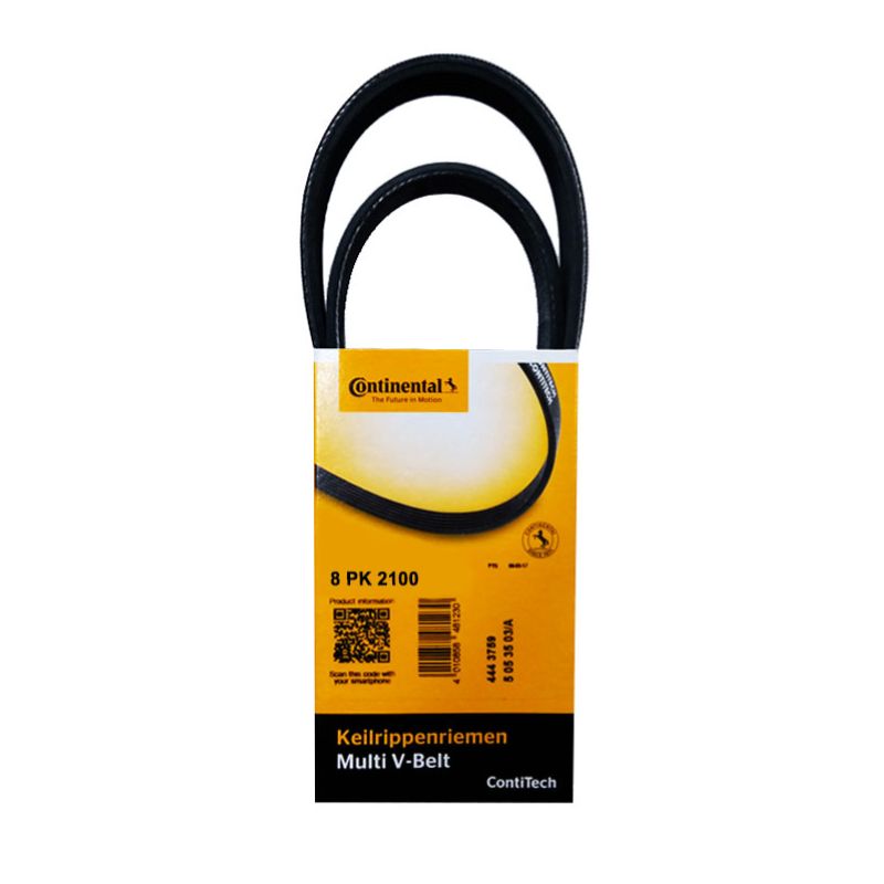 Correa 8pk 2100
